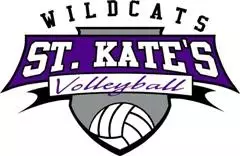 volleyball logo