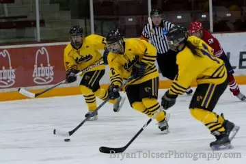 hockey break
