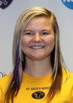 Hockey drops 2012-13 season opener 2-0 to Hamline in non-conference contest