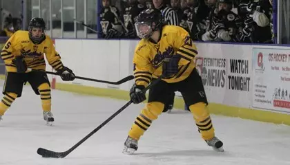 hallie web
