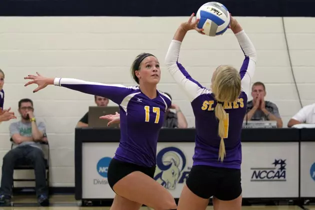 Volleyball can