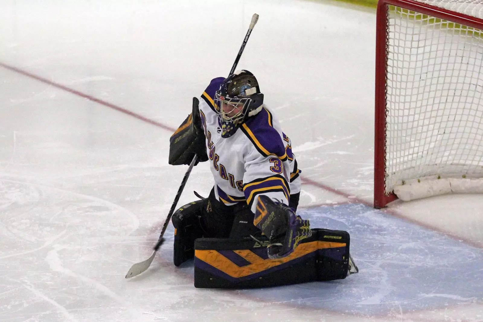 Late-game goal not enough as hockey falls to Concordia 2-1