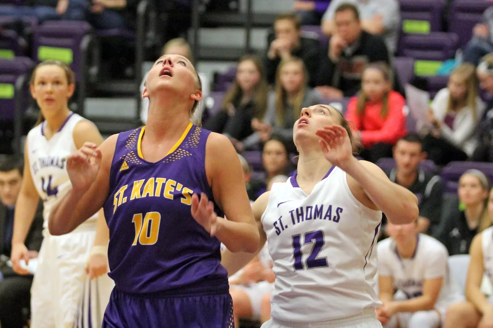 Basketball opens season with 53-39 victory over UW-Eau Claire