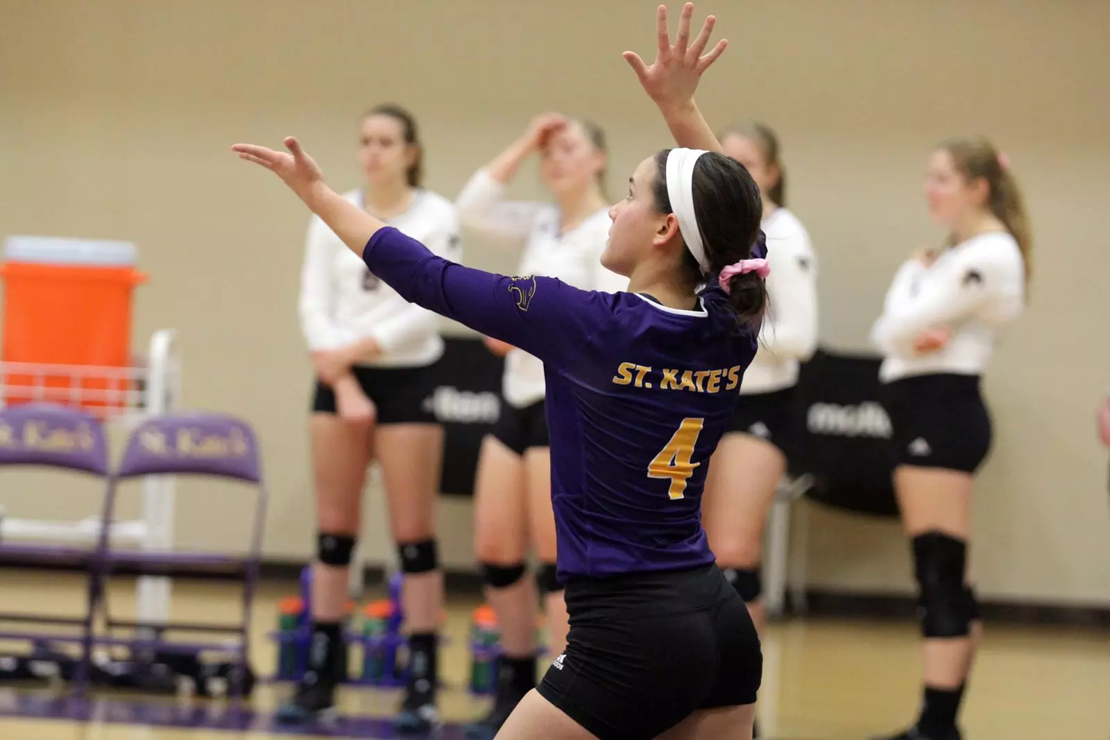 kisch serving