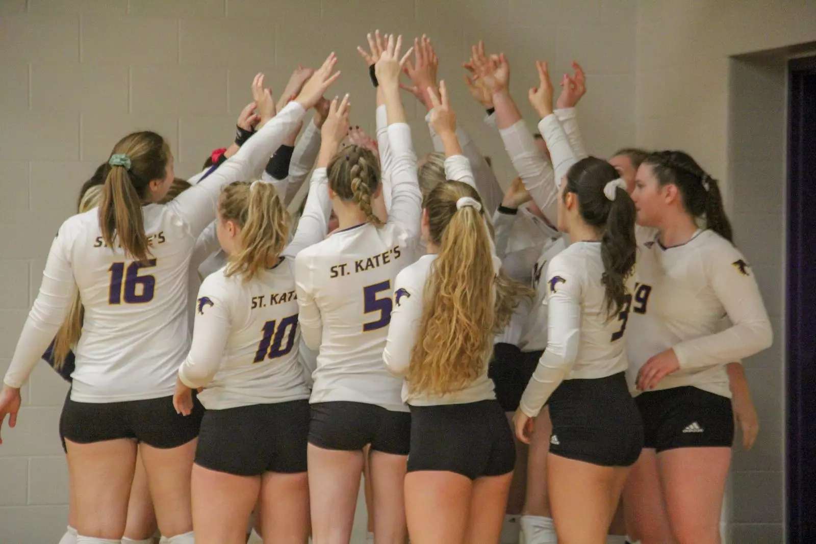 2019 Volleyball Team