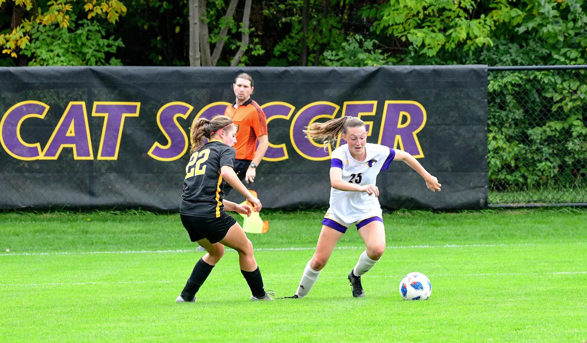Amanda Elton passing gustavus player 