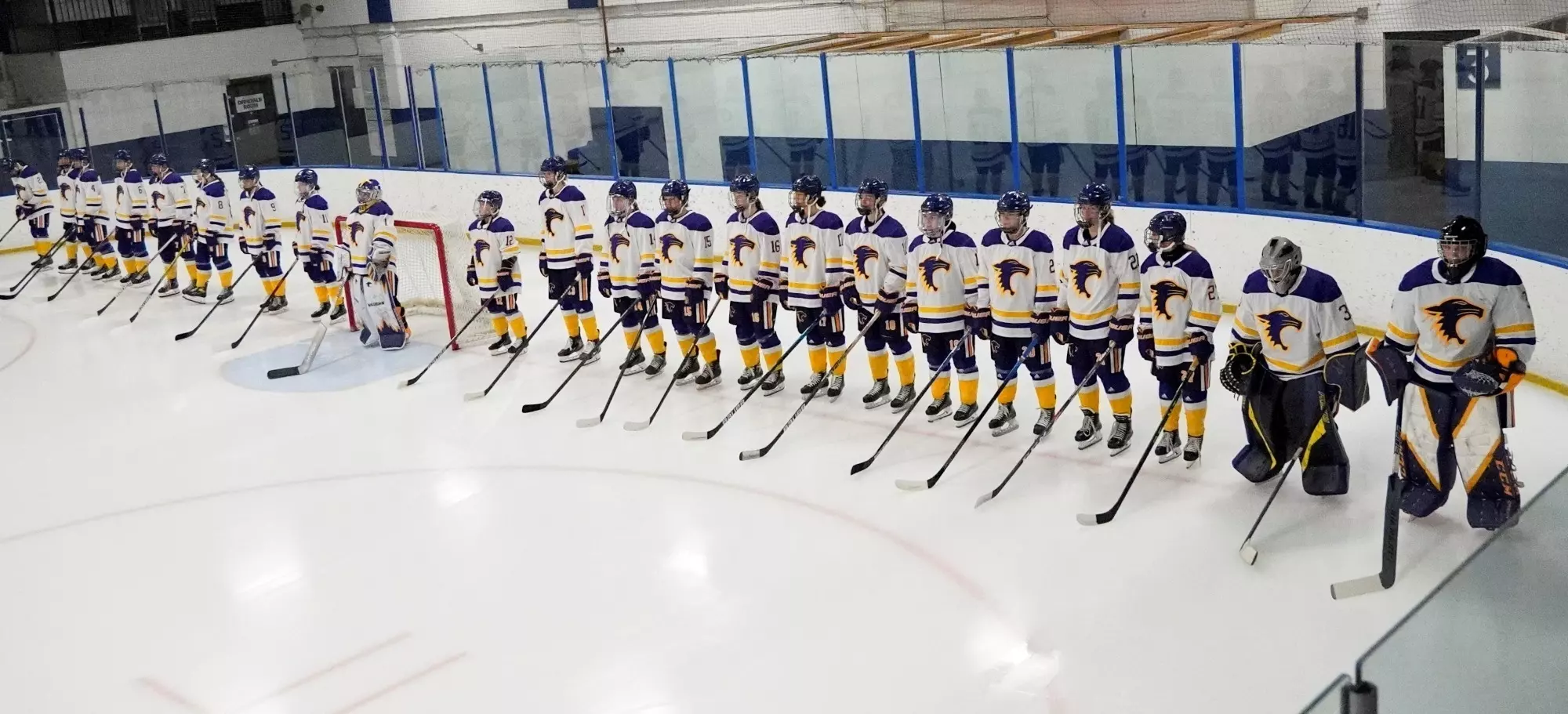 St. Catherine University hockey team 