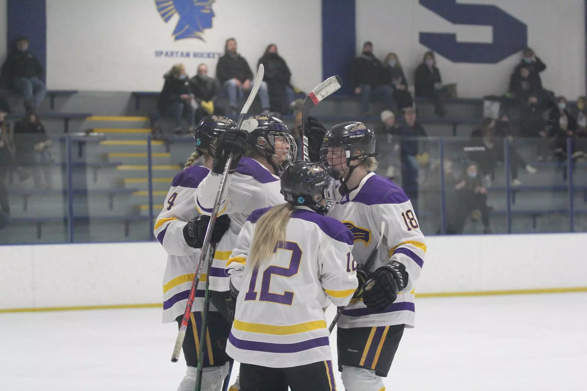 Hockey Celebration
