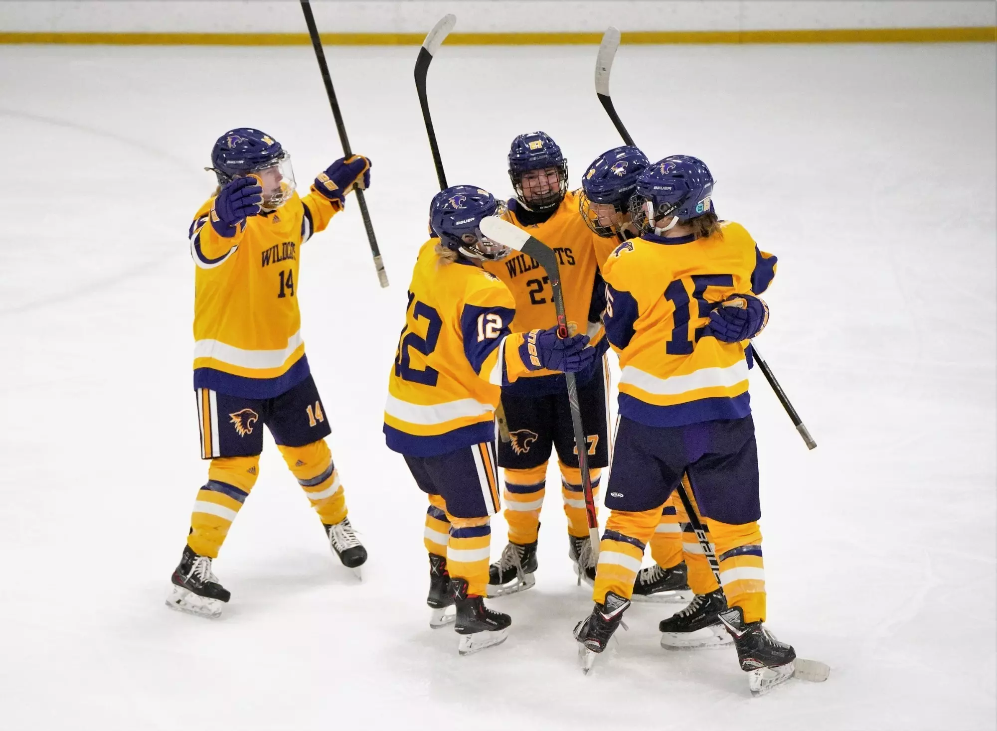 Hockey celebration after goal scored
