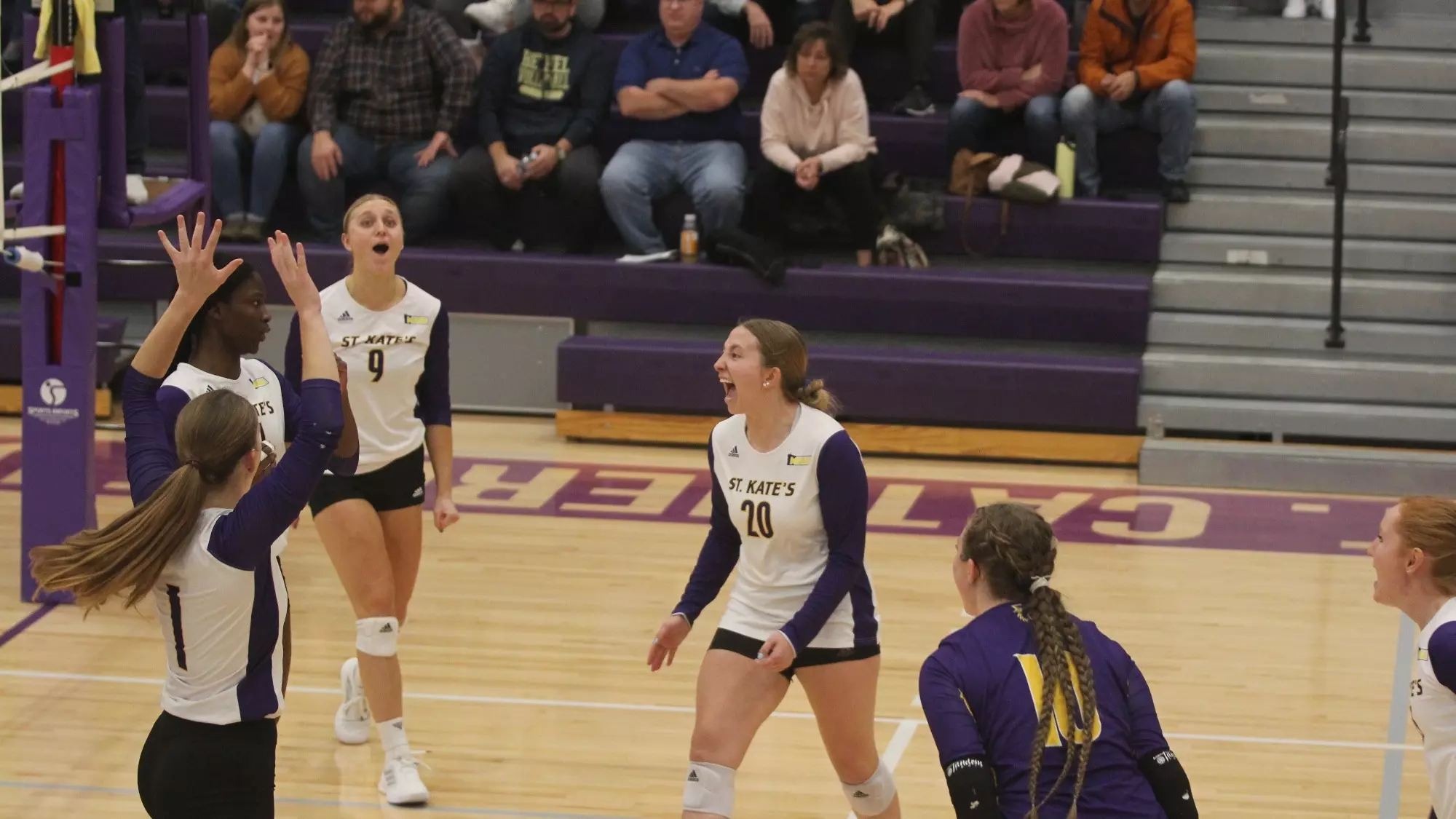 Volleyball team celebration