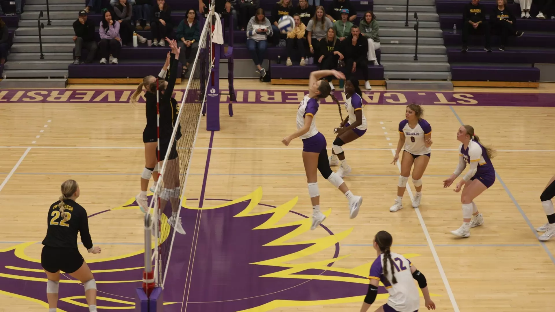 volleyball at home vs wis superior