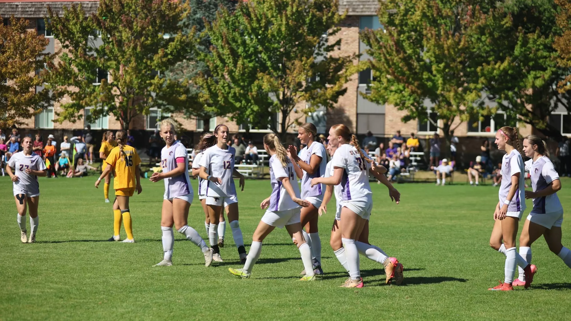 Soccer team celebration after tying goal